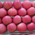 Super qualité prix raisonnable frais rouge Fuji Apple